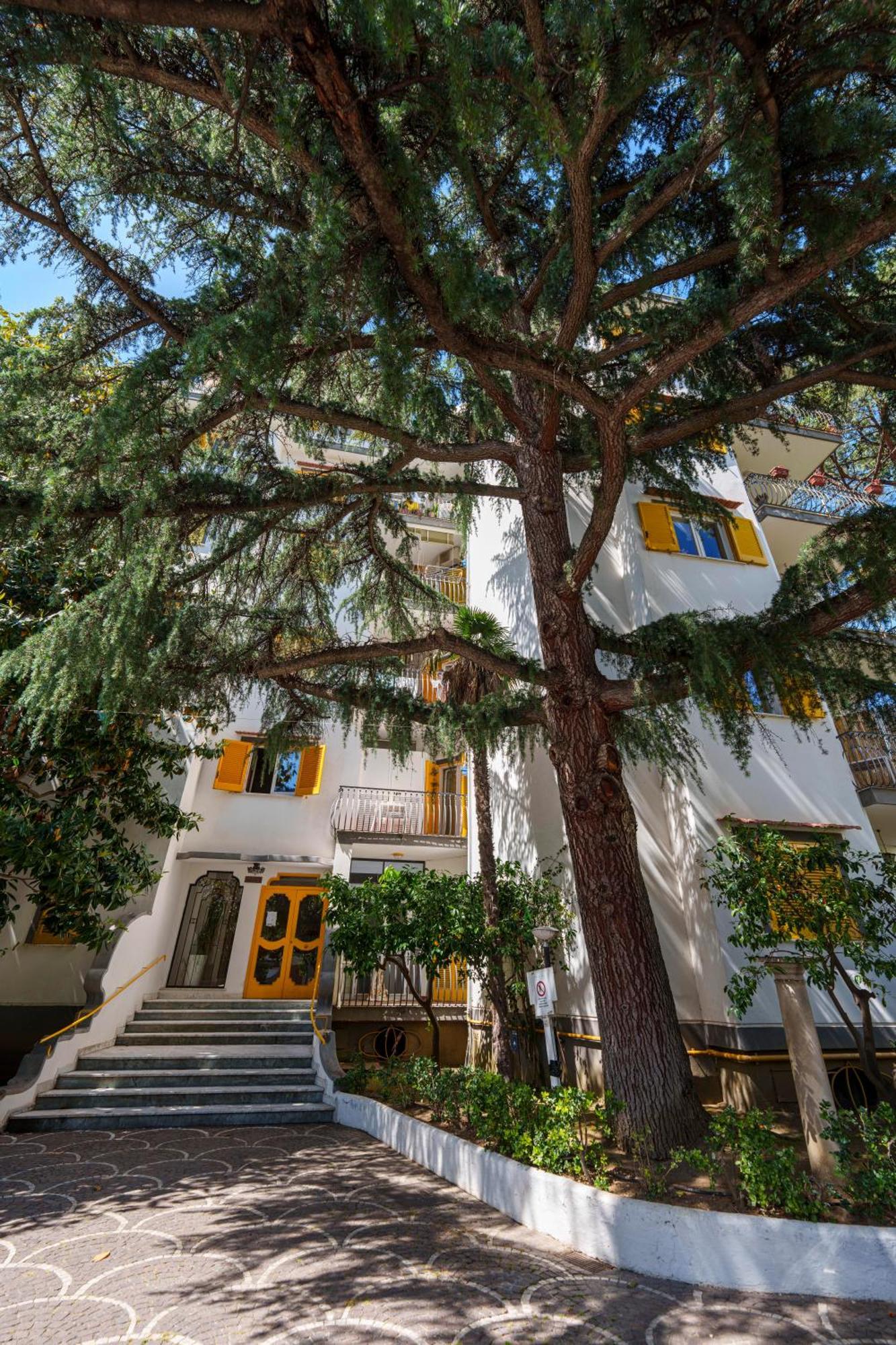 Ester's Sorrento